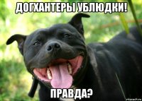 догхантеры ублюдки! правда?