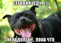 сегодня уеду...))) ненадолго..... пока что