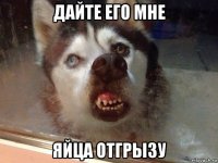 дайте его мне яйца отгрызу