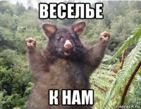 веселье к нам