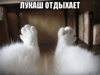 лукаш отдыхает 