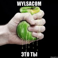 wylsacom это ты