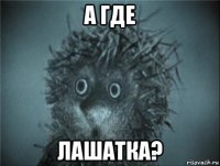 а где лашатка?