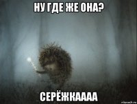 ну где же она? серёжкаааа