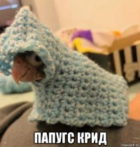  папугс крид