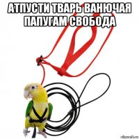 атпусти тварь ванючая папугам свобода 