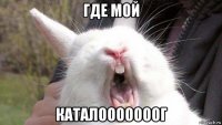 где мой каталооооооог