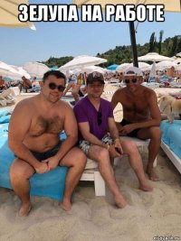 зелупа на работе 