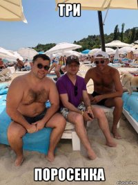 три поросенка