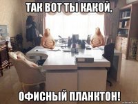 так вот ты какой, офисный планктон!