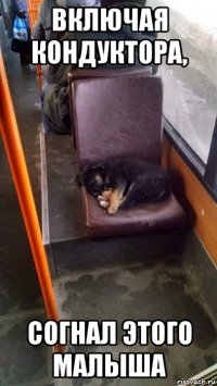 включая кондуктора, согнал этого малыша