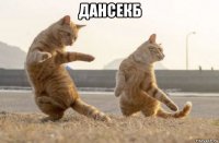 дансекб 