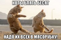 коты блять бесят надо их всех в мясорубку!
