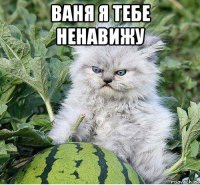 ваня я тебе ненавижу 