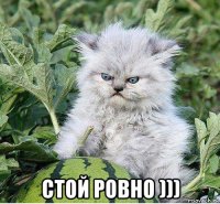  стой ровно )))
