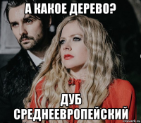 а какое дерево? дуб среднеевропейский