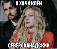 я хочу клён североканадский