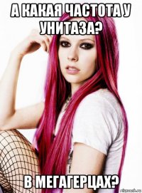 а какая частота у унитаза? в мегагерцах?