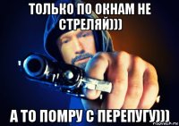 только по окнам не стреляй))) а то помру с перепугу)))