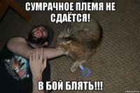сумрачное племя не сдаётся! в бой блять!!!