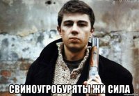  свиноугробуряты жи сила