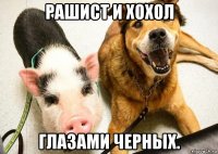 рашист и хохол глазами черных.