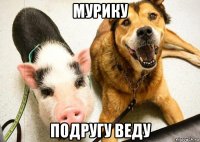 мурику подругу веду