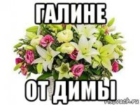 галине от димы
