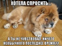 хотела спросить... а ты не чувствовал, ничего необычного последнее время??