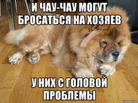 и чау-чау могут бросаться на хозяев у них с головой проблемы