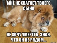мне не хватает твоего сына не хочу умереть, зная, что он не рядом...