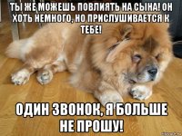 ты же можешь повлиять на сына! он хоть немного, но прислушивается к тебе! один звонок, я больше не прошу!
