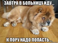 завтра в больницу иду... к лору надо попасть...