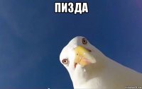 пизда 