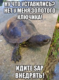 ну что уставились? нет у меня золотого ключика! идите sap внедрять!