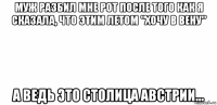 муж разбил мне рот после того как я сказала, что этим летом "хочу в вену" а ведь это столица австрии...