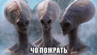  чо пожрать