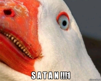 s a t a n !!!1
