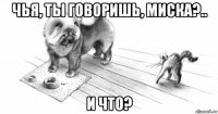 чья, ты говоришь, миска?.. и что?