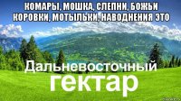 комары, мошка, слепни, божьи коровки, мотыльки, наводнения это 