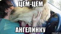цём-цём ангелинку
