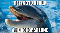 петух это птица а не оскорбление