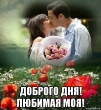  доброго дня! любимая моя!