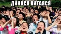 динося китаяся 