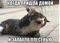 когда пришла домой и запахло плесенью