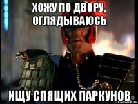 хожу по двору, оглядываюсь ищу спящих паркунов