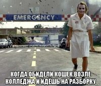  когда обидели кошек возле колледжа и идёшь на разборку