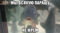 мы всякую парашу не жрем