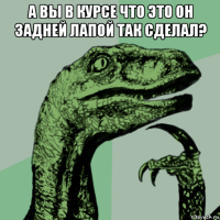 а вы в курсе что это он задней лапой так сделал? 