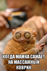  когда мамка сажает на массажный коврик